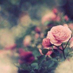 Meet your Posher, Victor